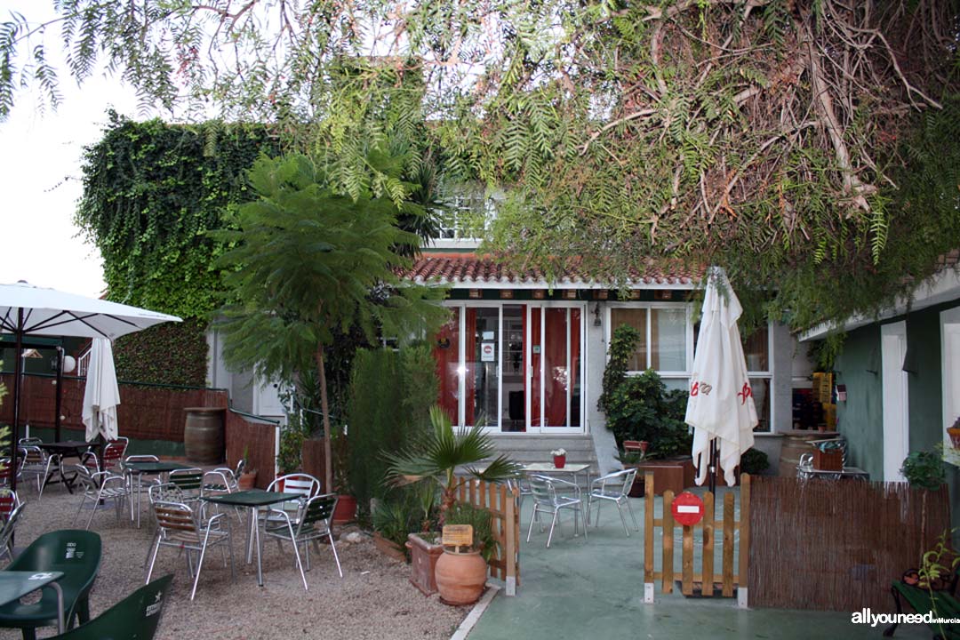 Hostel La Casa Verde en Murcia. Terraza Bar All You Need In Murcia